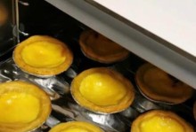 格兰仕烤箱的使用体验剖析（一起来探索格兰仕烤箱的功能和性能如何）