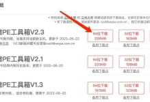 PE系统教程（进入PE系统，解锁更多操作功能，轻松应对电脑问题）
