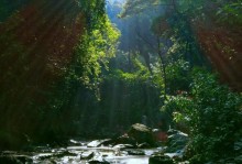 盛夏内存卡（提供超高速存储和巨大容量的理想选择）