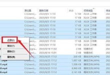 系统文件误删恢复技巧大揭秘（教你如何快速恢复误删的系统文件）