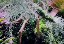 雨林安装系统教程（让你的计算机焕然一新的简单方法）